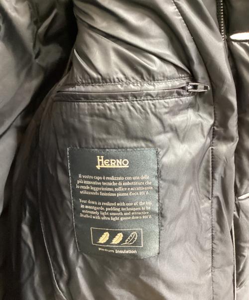 HERNO（ヘルノ）HERNO (ヘルノ) ロングダウンジャケット / Long Down Jacket ネイビー サイズ:44の古着・服飾アイテム