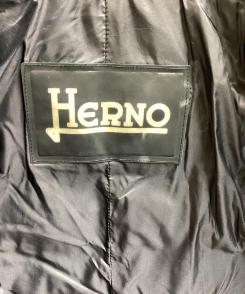 HERNO（ヘルノ）HERNO (ヘルノ) ロングダウンジャケット / Long Down Jacket ネイビー サイズ:44の古着・服飾アイテム