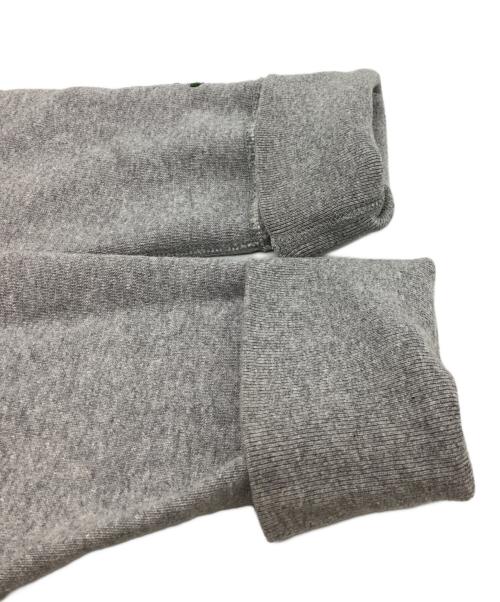 DRESSTERIOR（ドレステリア）DRESSTERIOR (ドレステリア) デキシー吊裏毛ジップアップパーカ　/　086-32900 グレー サイズ:Lの古着・服飾アイテム