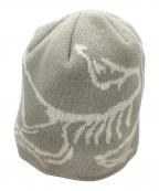 ARC'TERYXアークテリクス）の古着「FERNIE TOQUE / ファーニートーク / 28132-128955」｜グレー