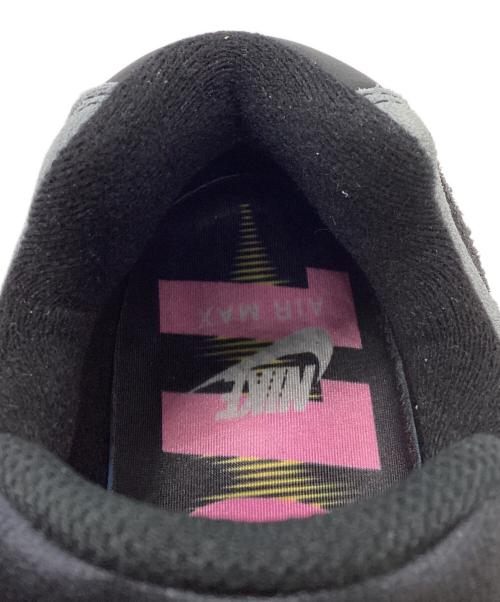 NIKE（ナイキ）NIKE (ナイキ) ローカットスニーカー / AIR MAX95 / IB7683-001 グレー サイズ:29cmの古着・服飾アイテム