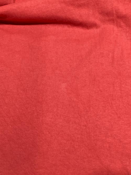stussy（ステューシー）stussy (ステューシー) Tシャツ オレンジ サイズ:Ｍの古着・服飾アイテム