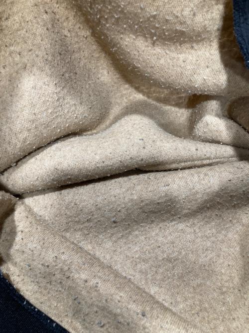 CarHartt（カーハート）CarHartt (カーハート) PRENTIS SWEATSHIRT / プレンティススウェットシャツ ベージュ サイズ:XLの古着・服飾アイテム