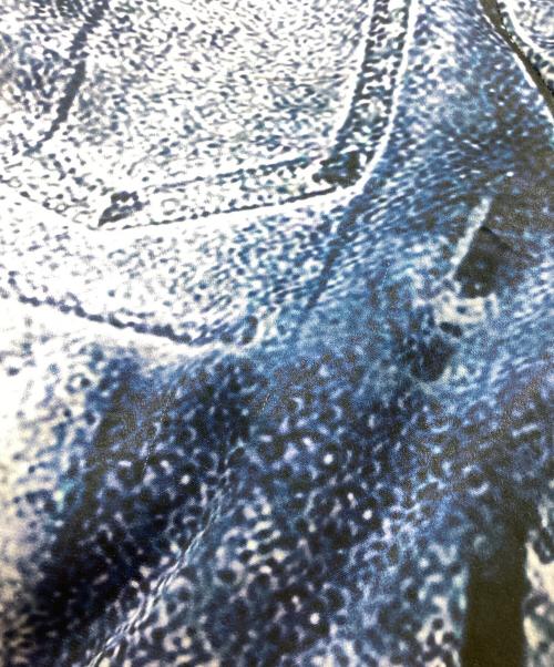 PRANK PROJECT（プランクプロジェクト）PRANK PROJECT (プランクプロジェクト) Denim Print Easy Pants / デニムプリントイージーパンツ / 31241465612 ホワイト×ブルー サイズ:38の古着・服飾アイテム