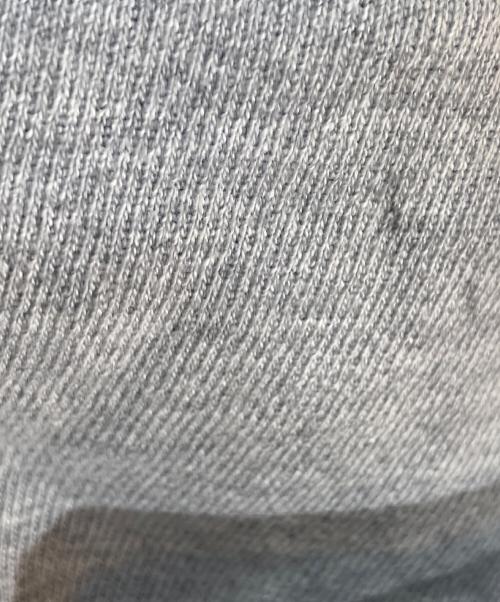 Champion（チャンピオン）Champion (チャンピオン) リバースウィーブスウェットパーカー/ PREMIUM REVERSE WEAVE グレー サイズ:XXLの古着・服飾アイテム