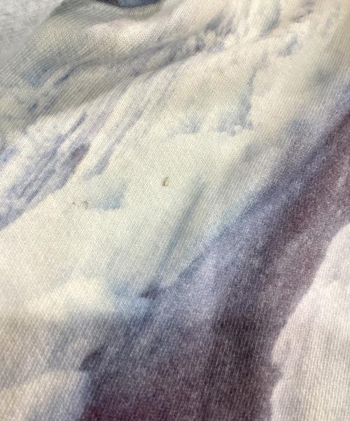 SUPREME（シュプリーム）Supreme (シュプリーム) THE NORTH FACE (ザ ノース フェイス) Ice Climb Hooded Sweatshirt スカイブルー サイズ:Mの古着・服飾アイテム