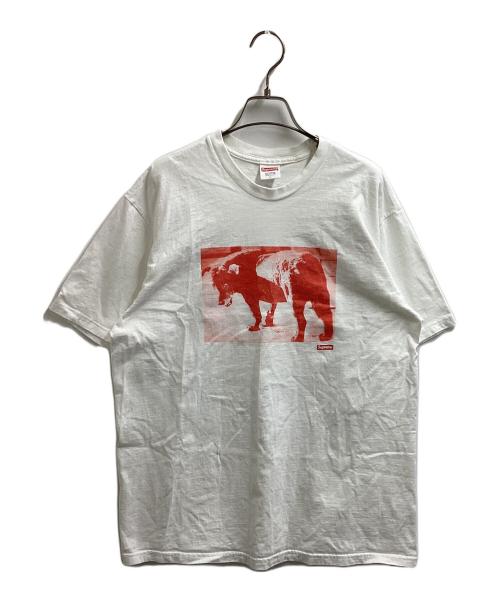 SUPREME（シュプリーム）SUPREME (シュプリーム) Daido Moriyama Dog Tee ホワイト サイズ:Lの古着・服飾アイテム