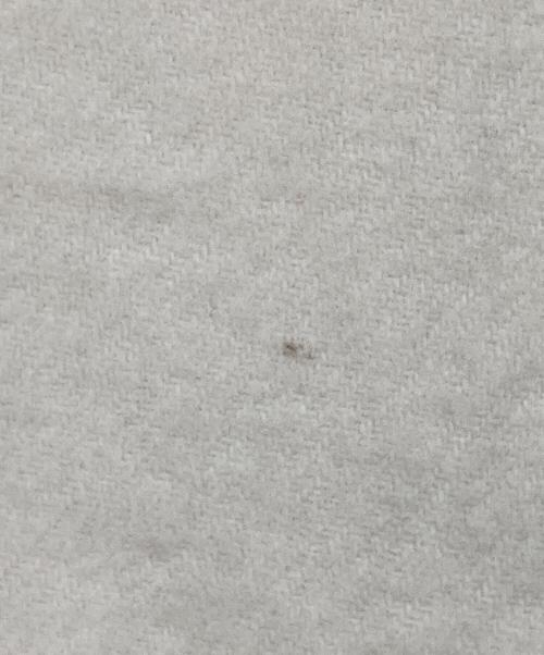 Acne studios（アクネ ストゥディオズ）ACNE STUDIOS (アクネ ストゥディオズ) フリンジウールスカーフ - オーバーサイズ アイボリー サイズ:200×70cmの古着・服飾アイテム
