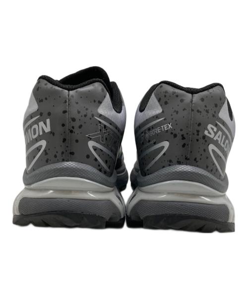 SALOMON（サロモン）SALOMON (サロモン) XT-6 GTX 