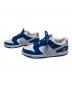 NIKE SB BORN X RAISED Dunk Low Pro QS 