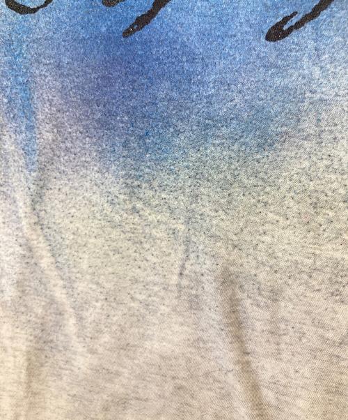 L.G.B（ルグランブルー）L.G.B (ルグランブルー) BLACK HAWK/NSC　Tシャツ　0061BH グレーの古着・服飾アイテム
