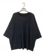 HOMME PLISSE ISSEY MIYAKEオム プリッセ イッセイ ミヤケ）の古着「MONTHLY COLOR MAY　プリーツカットソー　HP51-JK122」｜ブラック