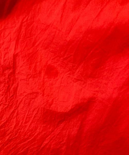 Graphpaper（グラフペーパー）Graphpaper (グラフペーパー) コットンレギュラーカラー長袖シャツ　COTTON SHIRTS　GM231-50080C レッド サイズ:FREEの古着・服飾アイテム