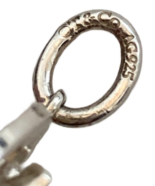 TIFFANY & Co.（ティファニー アンド コー）TIFFANY & Co. (ティファニー アンド コー) スノーフレークペンダントトップ　SILVER925 シルバーの古着・服飾アイテム