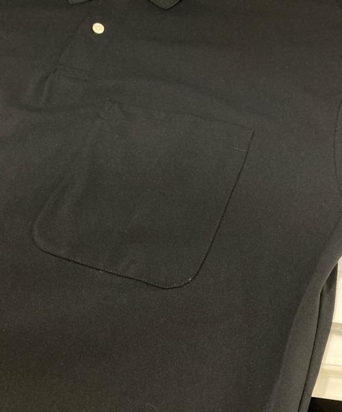 DAIWA PIER39（ダイワ ピア39）DAIWA PIER39 (ダイワ ピア39) TECH POLO SHIRT(テックポロシャツ) BE-32023 / 半袖ポロシャツ ブラック サイズ:Lの古着・服飾アイテム
