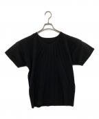 HOMME PLISSE ISSEY MIYAKEオム プリッセ イッセイ ミヤケ）の古着「プリーツカットソー/HP55JK020」｜ブラック