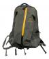 ARC'TERYX（アークテリクス）の古着「ARRO 16 BACKPACK　28724-128620」｜グレー