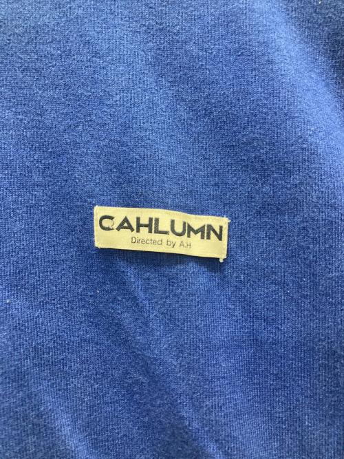 CAHLUMN（カウラム）CAHLUMN (カウラム) 天竺ハーフジップフーディ ブルー サイズ:Lの古着・服飾アイテム