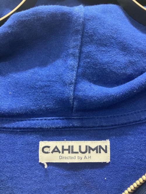 CAHLUMN（カウラム）CAHLUMN (カウラム) 天竺ハーフジップフーディ ブルー サイズ:Lの古着・服飾アイテム