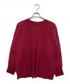 HOMME PLISSE ISSEY MIYAKEオム プリッセ イッセイ ミヤケ）の古着「プリーツカットソー」｜レッド