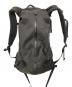 ARC'TERYX（アークテリクス）の古着「Arro 22 Backpack アロー22バックパック」｜ブラック