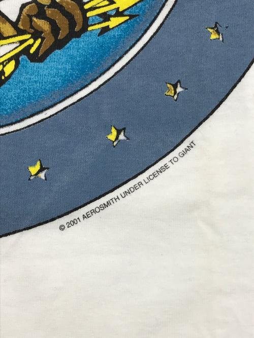 giant（ジャイアント）giant (ジャイアント) Tシャツ ホワイト サイズ:Mの古着・服飾アイテム