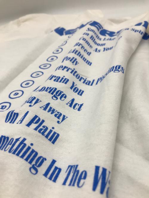 giant（ジャイアント）giant (ジャイアント) 90s NIRVANA NEVERMIND プリントTシャツ ホワイト サイズ:Lの古着・服飾アイテム