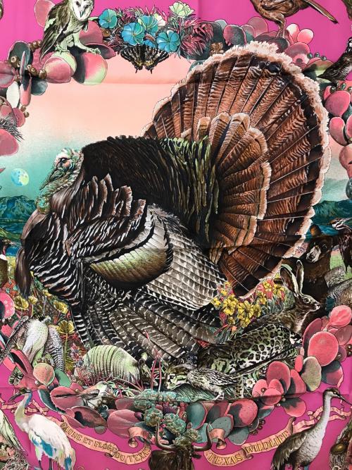 HERMES（エルメス）HERMES (エルメス) テキサス動植物図鑑 カレ90 シルクスカーフ ピンク サイズ:-の古着・服飾アイテム