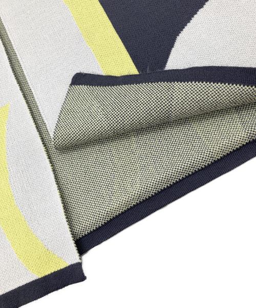 Adam et Rope（アダム エ ロペ）Adam et Rope (アダム エ ロペ) アートジャカードニットスカート グレー サイズ:Fの古着・服飾アイテム