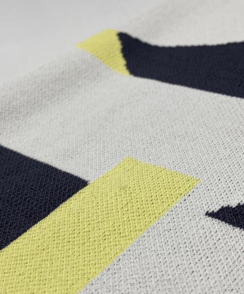 Adam et Rope（アダム エ ロペ）Adam et Rope (アダム エ ロペ) アートジャカードニットスカート グレー サイズ:Fの古着・服飾アイテム