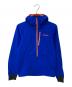 Patagonia（パタゴニア）の古着「ナノエアライトフーディー」｜ブルー