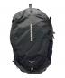 SALOMON（サロモン）の古着「TRAILBLAZER 30 バックパック」｜ブラック