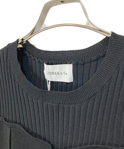 ANDREA&Co.（アンドレアアンドコー）ANDREA&Co. (アンドレアアンドコー) ビスチェニットトップス+ボリュームフリルチュールスカート ブラック サイズ:Fの古着・服飾アイテム