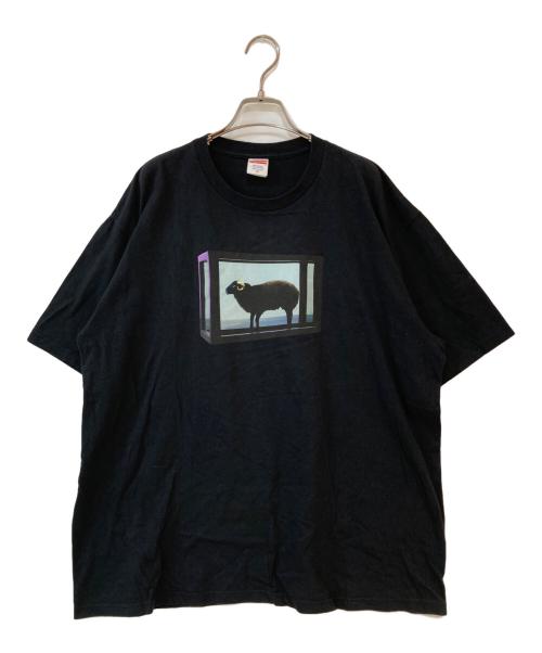 SUPREME（シュプリーム）SUPREME (シュプリーム) 25SS Damien Hirst Tee ブラック サイズ:XLの古着・服飾アイテム