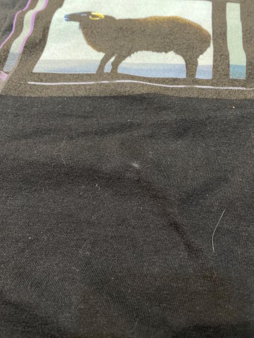 SUPREME（シュプリーム）SUPREME (シュプリーム) 25SS Damien Hirst Tee ブラック サイズ:XLの古着・服飾アイテム