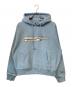 stussy（ステューシー）の古着「STRETCH HOODIE」｜ブルー