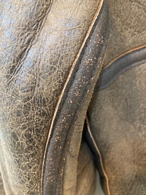 AVIREX（アヴィレックス）AVIREX (アヴィレックス) TYPE B-3 MOUTON FLIGHT JACKET ブラウン サイズ:36の古着・服飾アイテム