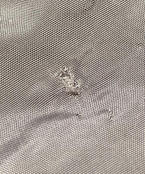 Barbour（バブアー）Barbour (バブアー) CAMERON LUX QUILT フーデッドジャケット ブラウン サイズ:46の古着・服飾アイテム