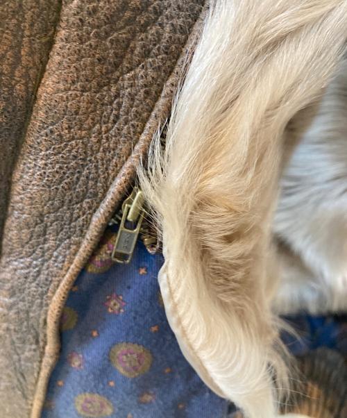 ACTION HOUSE（アクション ハウス）ACTION HOUSE (アクション ハウス) G-1 ボア ボンバージャケット ブラウン サイズ:なしの古着・服飾アイテム