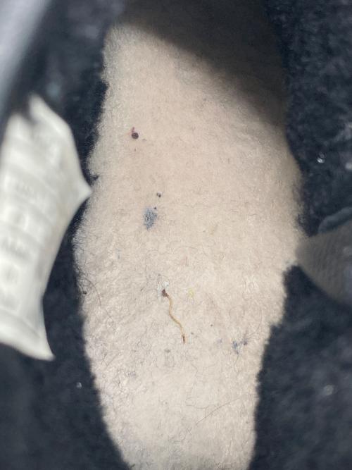 UGG（アグ）UGG (アグ) Classic Rebel Biker Mini ブーツ ブラック サイズ:23㎝の古着・服飾アイテム