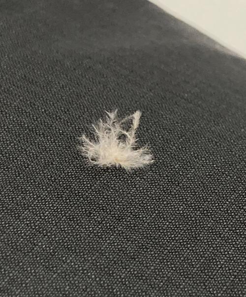 Patagonia（パタゴニア）Patagonia (パタゴニア) 00s DOWN SWEATER PULLOVER HOODY ブラック サイズ:Mの古着・服飾アイテム