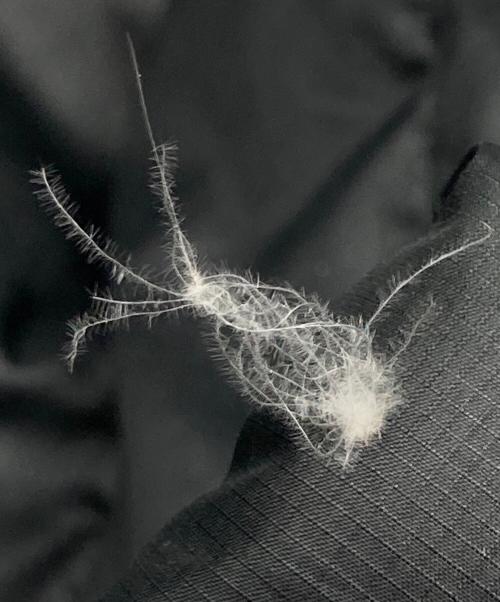 Patagonia（パタゴニア）Patagonia (パタゴニア) 00s DOWN SWEATER PULLOVER HOODY ブラック サイズ:Mの古着・服飾アイテム