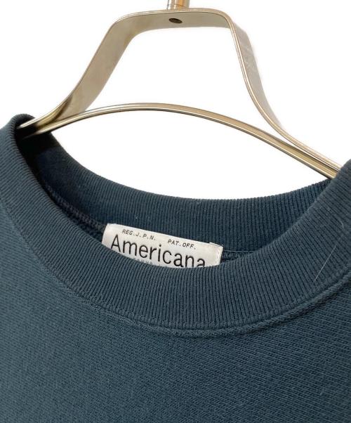 Americana（アメリカーナ）Americana (アメリカーナ) AMRCN STATE SWEAT ブラック サイズ:Mの古着・服飾アイテム