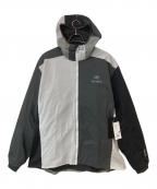 ARC'TERYX×BEAMSアークテリクス×ビームス）の古着「Wabi-Sabi Atom Hoody」｜グレー
