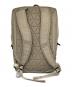THE NORTH FACE (ザ ノース フェイス) シャトルデイパック / SHUTTLE DAYPACK ベージュ：11000円