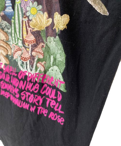 stussy（ステューシー）stussy (ステューシー) プリントTシャツ ブラック サイズ:Lの古着・服飾アイテム