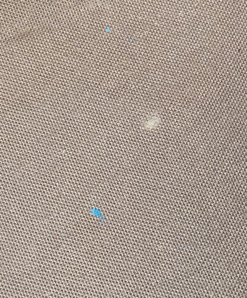 LOUIS VUITTON（ルイ ヴィトン）LOUIS VUITTON (ルイ ヴィトン) スピーディ30 ハンドバッグ ブラウンの古着・服飾アイテム