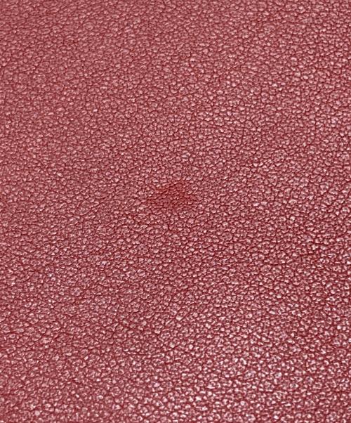 COACH（コーチ）COACH (コーチ) ショルダーバッグ レッドの古着・服飾アイテム