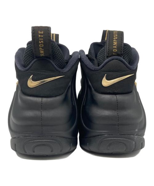 NIKE（ナイキ）NIKE (ナイキ) AIR FOAMPOSITE PRO / エアフォームポジット プロ ブラック サイズ:27.5の古着・服飾アイテム