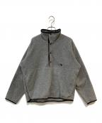THE NORTH FACEザ ノース フェイス）の古着「ARMADILLA スナップフリースプルオーバー」｜グレー